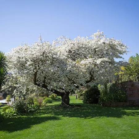 Hotel St Brelade's Bay
